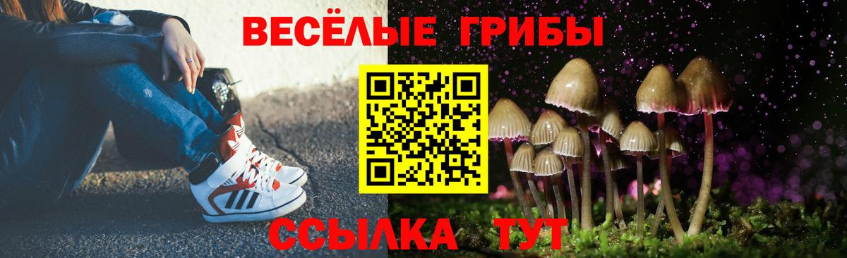Кизляр  Галлюциногенные грибы ЛСД  Вход с VPN 